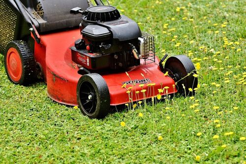 Grass Cutting